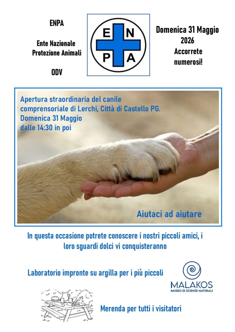 Domenica a quattro zampe al canile di Lerchi: domenica 31 maggio apertura straordinaria tra attività, laboratori e incontri con gli ospiti
