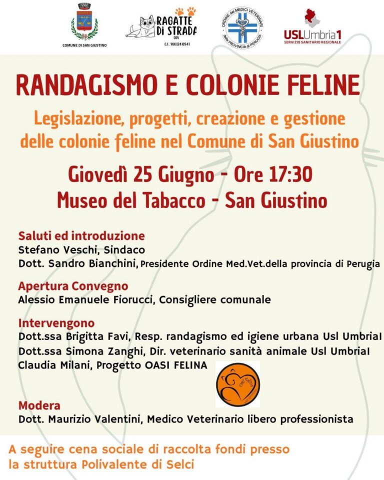 Randagismo e colonie feline, a San Giustino un incontro pubblico su gestione, tutela e progetti per il territorio
