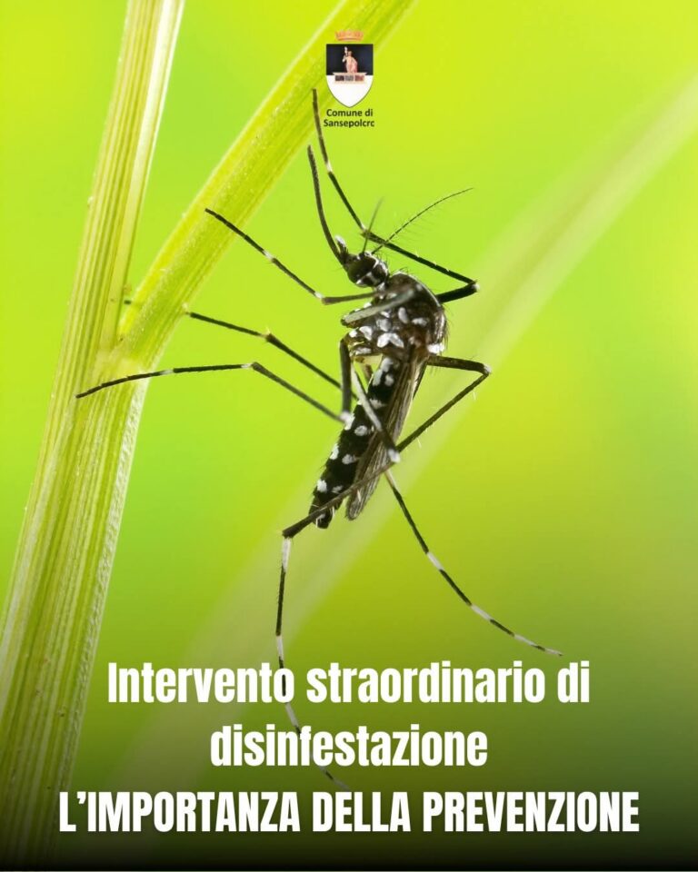 Sansepolcro, conclusa la disinfestazione anti-Dengue: piena collaborazione dei cittadini