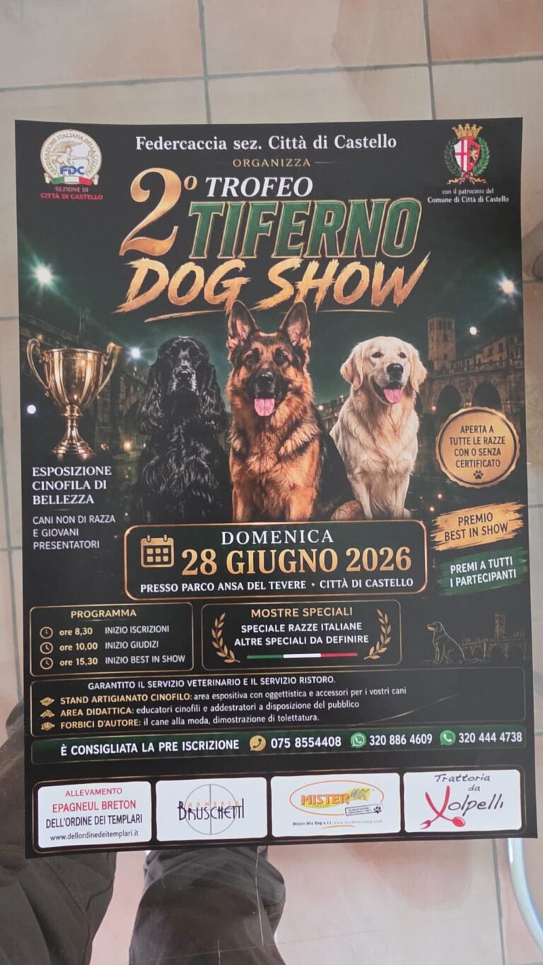 Tiferno Dog Show: domenica 28 giugno al Parco Ansa del Tevere la manifestazione cinofila aperta a tutte le razze