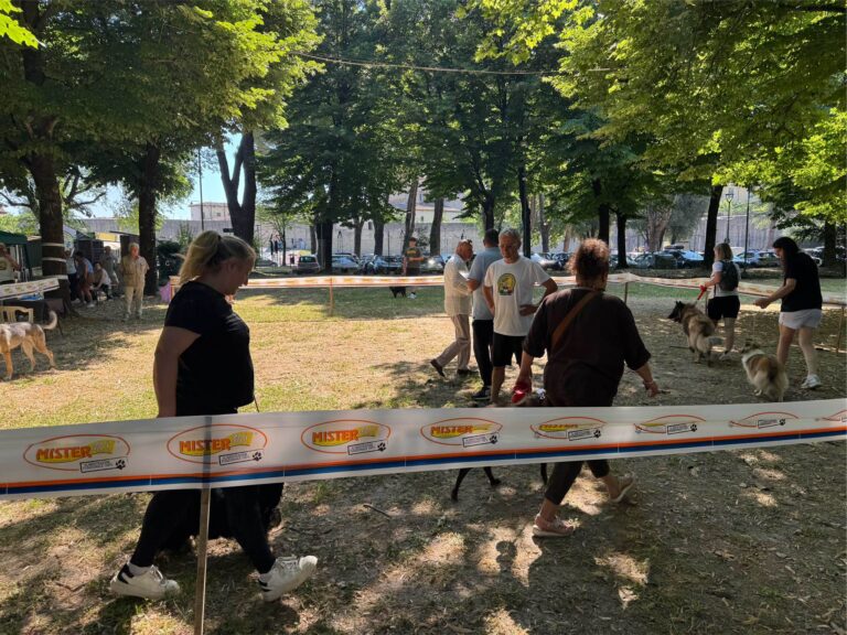Il caldo non ferma il Tiferno Dog Show: in tanti al Parco Ansa del Tevere con i loro amici a quattro zampe