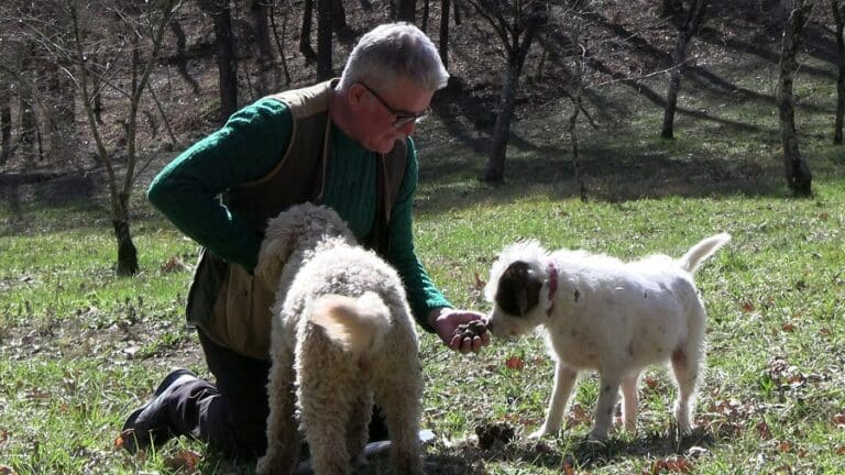 Pietralunga celebra il legame tra uomo, cane e tartufo: una giornata speciale con i tartufai piemontesi