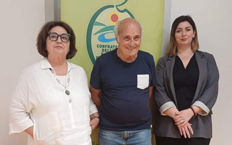 Olivi abbandonati, la Confraternita accende i riflettori su un problema sempre più diffuso