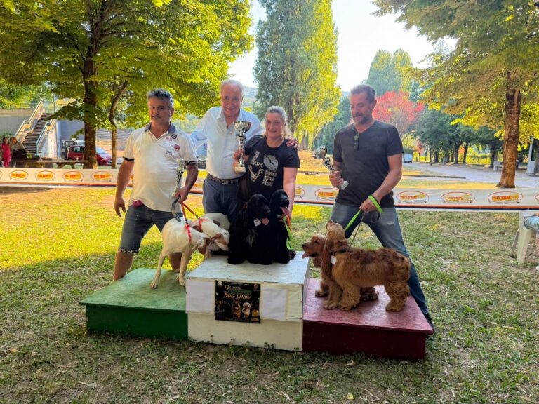 Tiferno Dog Show, trionfa Zeno: il wolfspitz conquista la seconda edizione