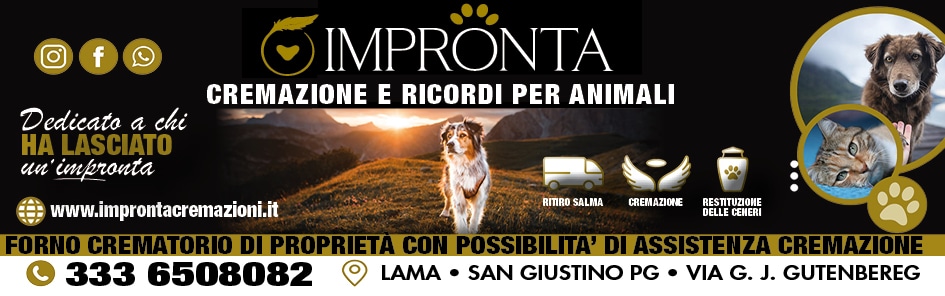 Primo Piano Notizie